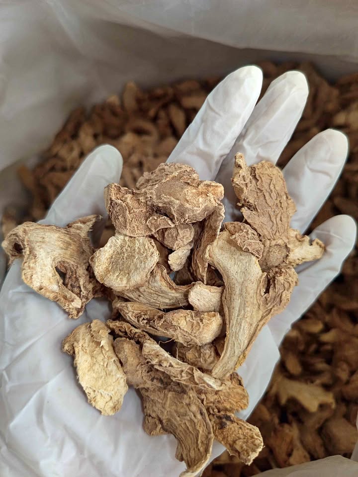 Sliced Dried Ginger