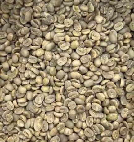 Indonesian Green Coffee Beans
